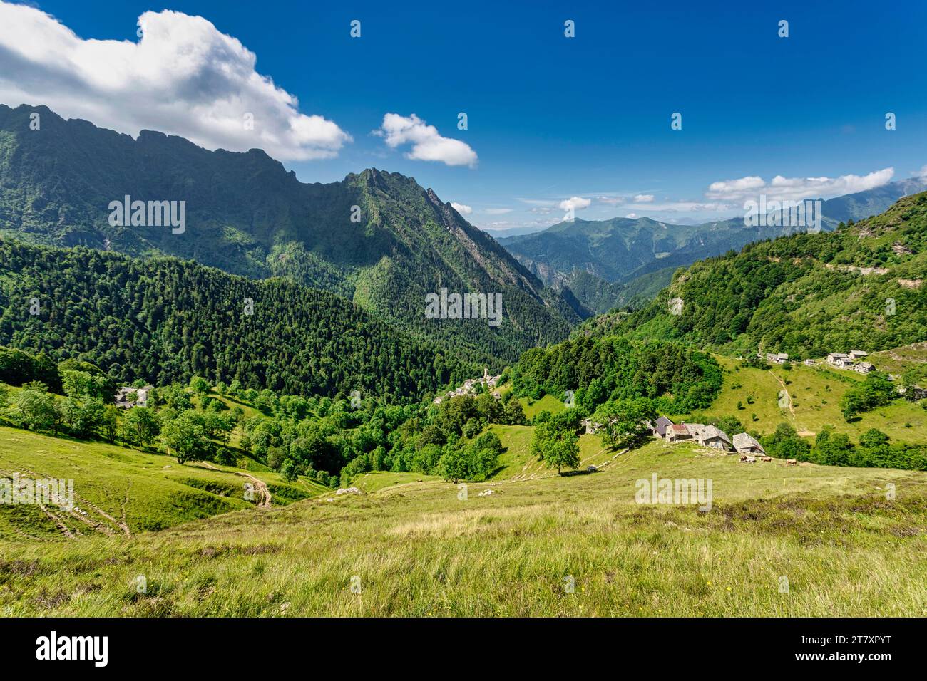 Il paesaggio bucolico della Val Mastellone in estate, Rimella, Valsesia, Vercelli, Piemonte, Italia, Europa Foto Stock
