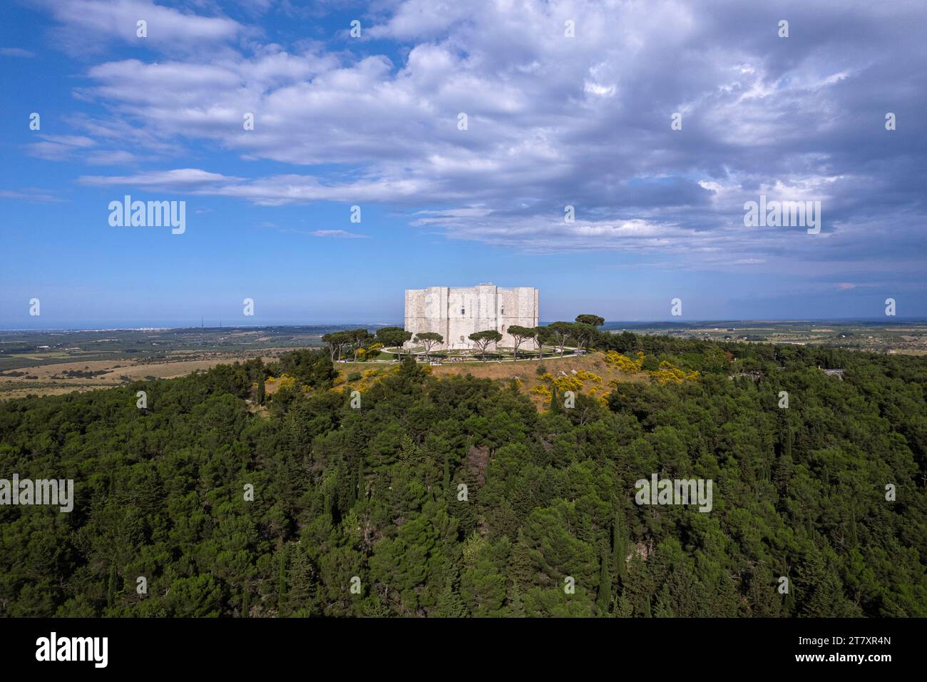 Castel del Monte in cima a una collina circondata da alberi, vista aerea, sito patrimonio dell'umanità dell'UNESCO, Puglia, Italia meridionale, Europa Foto Stock
