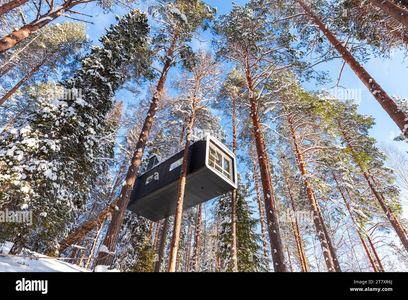 Sistemazioni all'avanguardia all'interno di una foresta innevata con alberi alti ricoperti di neve nella Lapponia svedese, Tree hotel, Harads, Lapponia, Svezia Foto Stock