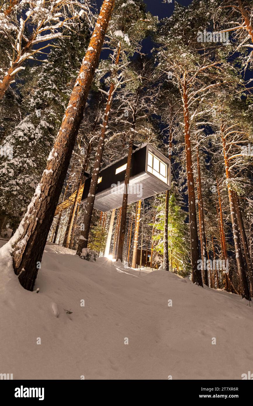 Vista dal basso di una camera d'hotel a forma di capsula sulla cima di alberi ricoperti di neve, vista notturna, Tree hotel, Harads, Lapponia, Svezia, Scandinavia Foto Stock