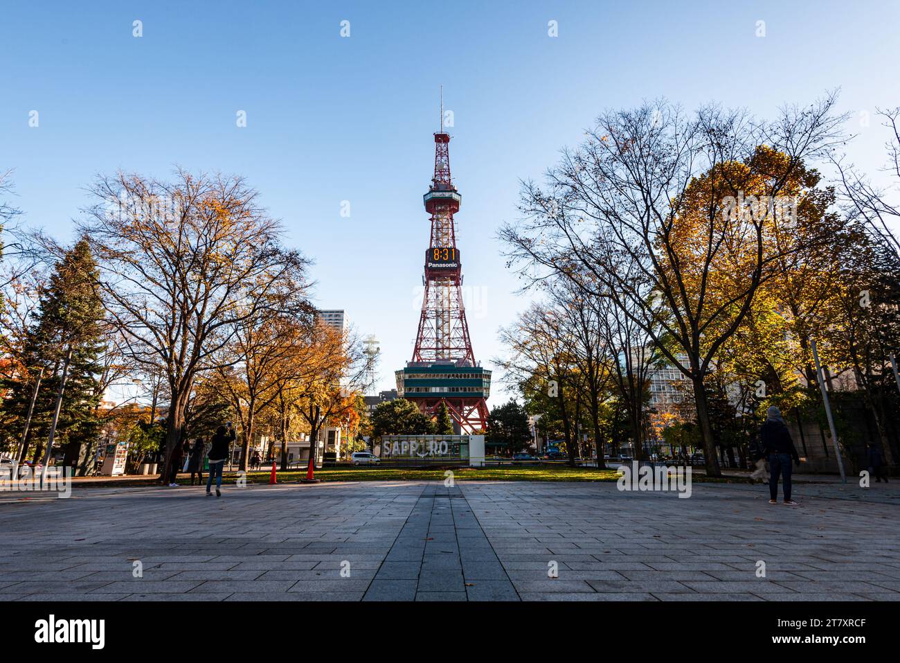 Torre Sapporo circondata da alberi autunnali contro un cielo blu, Sapporo, Hokkaido, Giappone, Asia Foto Stock