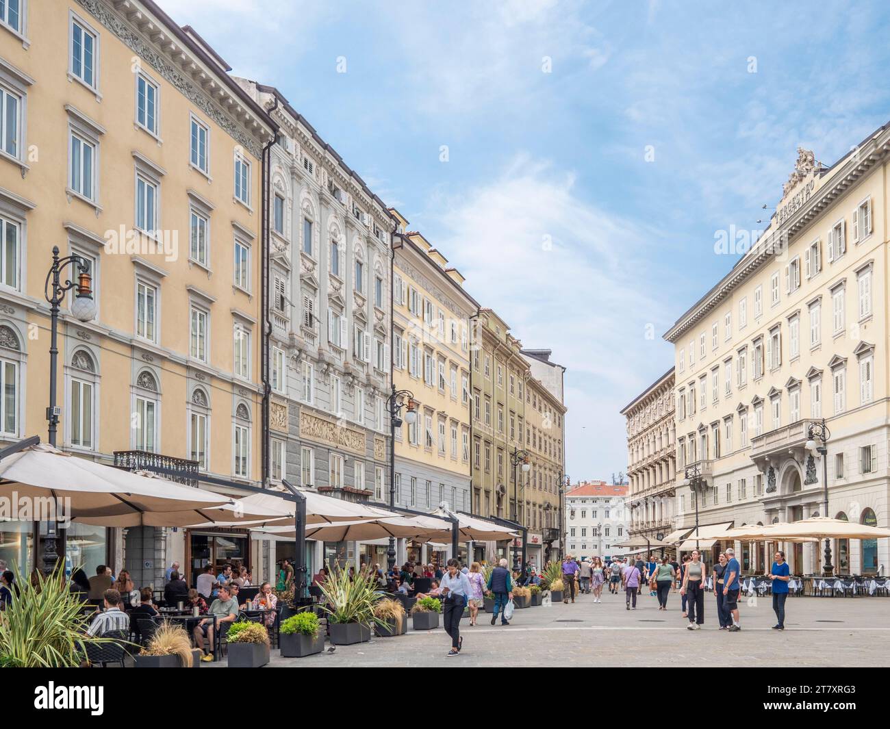 Cafe Lined Street, Trieste, Friuli Venezia Giulia, Italia, Europa Foto Stock