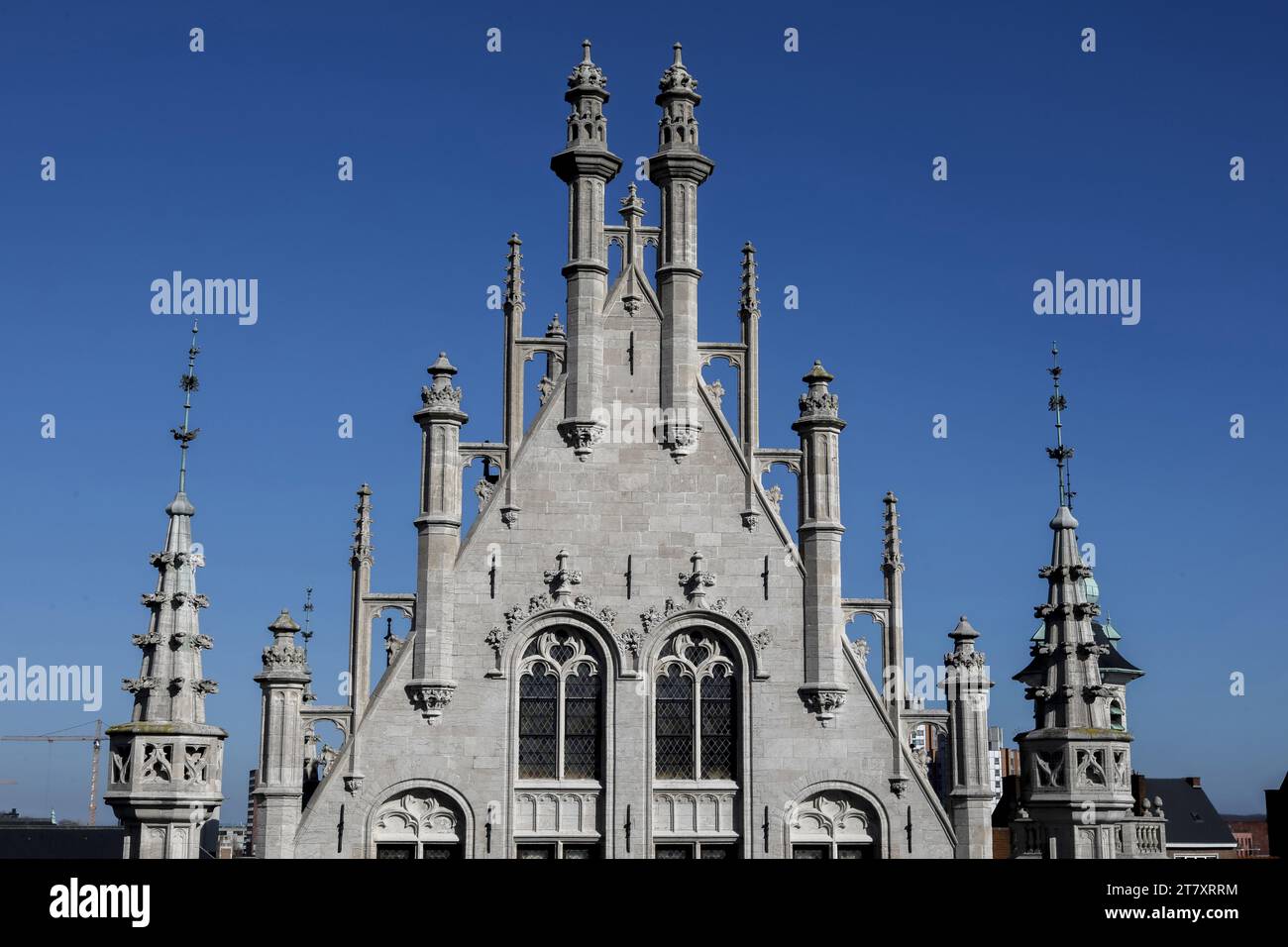 Chiesa Collegiata di San Pietro, Lovanio, Fiandre, Belgio, Europa Foto Stock