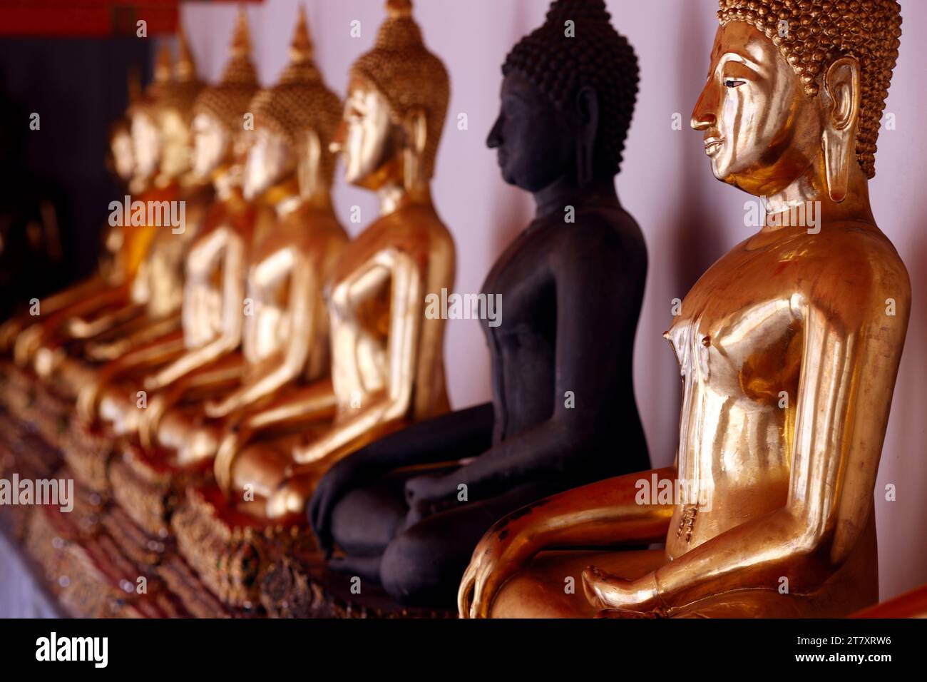 Fila di statue dorate di Buddha, gesto di testimonianza della terra, Wat Pho (Tempio del Buddha sdraiato), Bangkok, Thailandia, Sud-Est asiatico, Asia Foto Stock