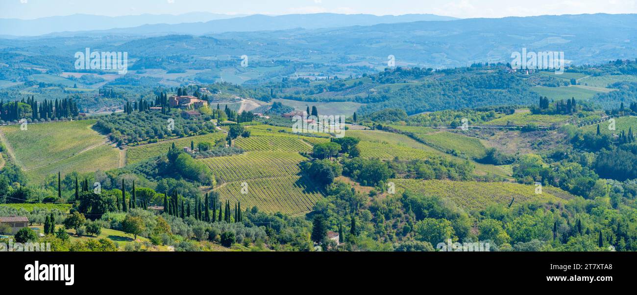 Vista dei vigneti e del paesaggio vicino a San Gimignano, San Gimignano, Provincia di Siena, Toscana, Italia, Europa Foto Stock