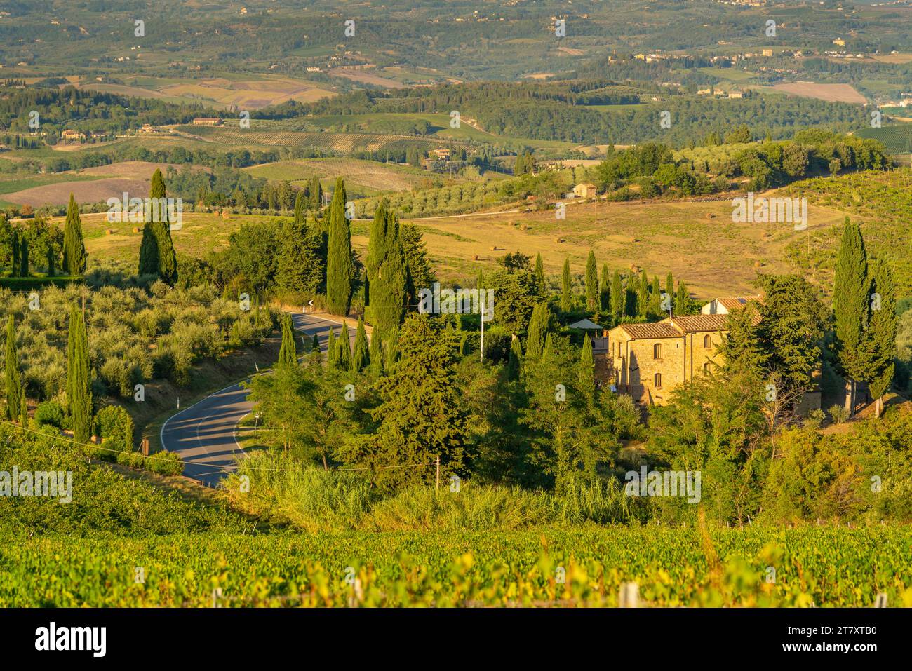 Vista del calco e dei vigneti vicino a San Gimignano, San Gimignano, Provincia di Siena, Toscana, Italia, Europa Foto Stock