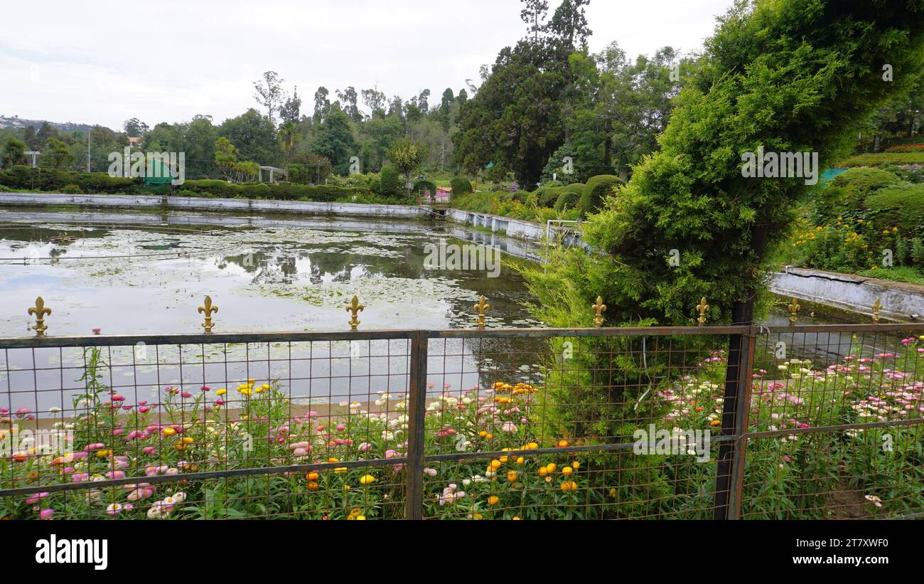 Splendido giardino panoramico del Kodaikanal Bryant Park. Uno dei luoghi da non perdere a Queen of Hills Kodaikanal per la lussureggiante vegetazione e i fiori Foto Stock