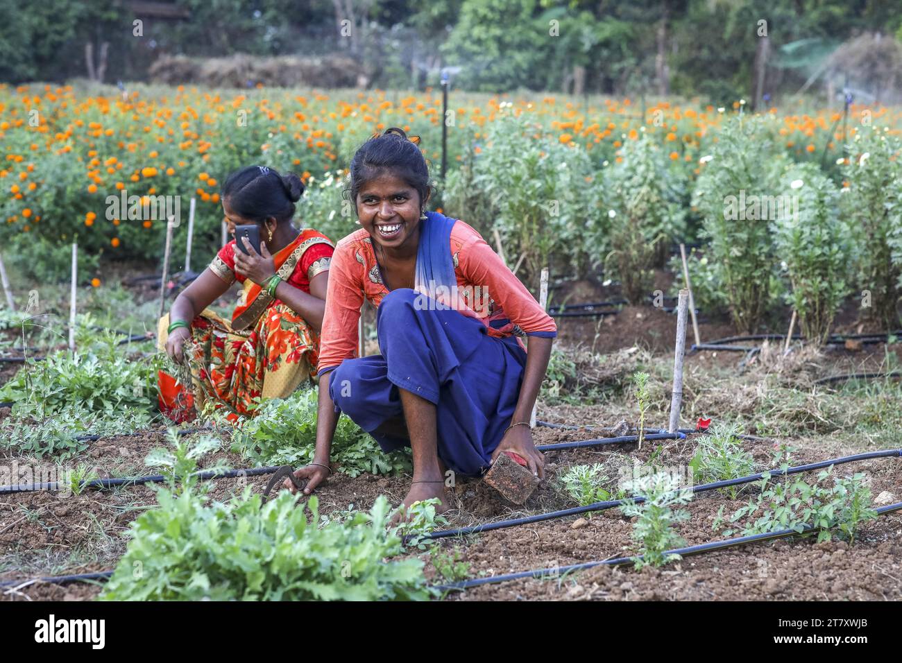 Giardinieri al lavoro in uno dei giardini di Goverdan ecovillage, Maharashtra, India, Asia Foto Stock