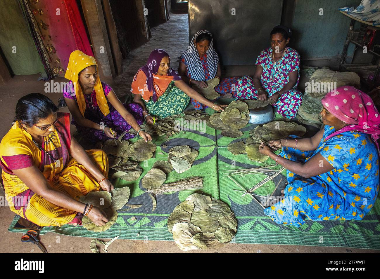 Gruppo di donne Adivasi che fabbricano lastre di foglie in un villaggio nel distretto di Narmada, Gujarat, India, Asia Foto Stock