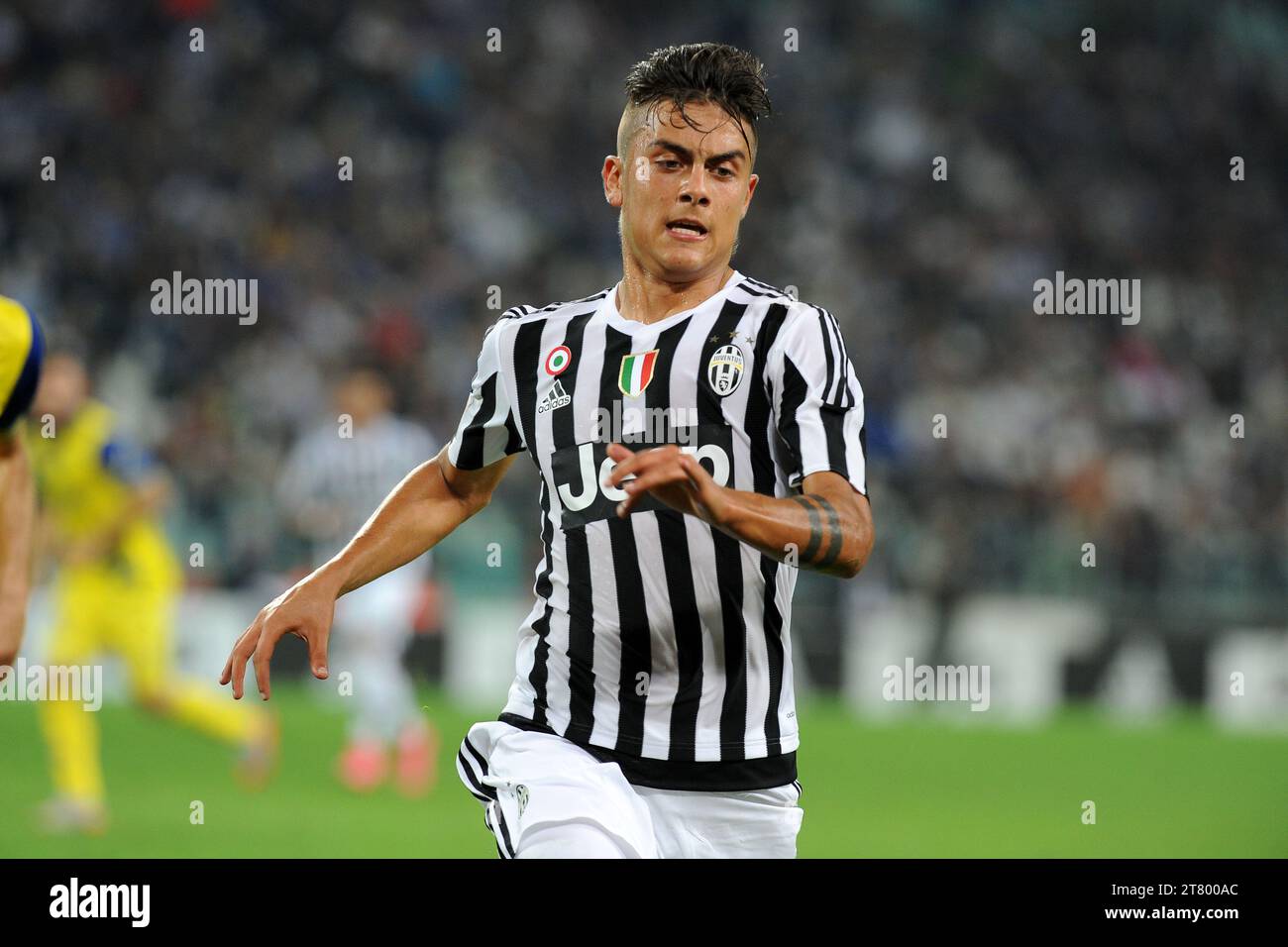 Paulo Dybala della Juventus FC durante il campionato italiano di serie A 2015/2016 partita di calcio tra Juventus FC e AC Chievo Verona allo Juventus Stadium il 12 settembre 2015 a Torino, Italia - foto massimo Cebrelli / DPPI Foto Stock