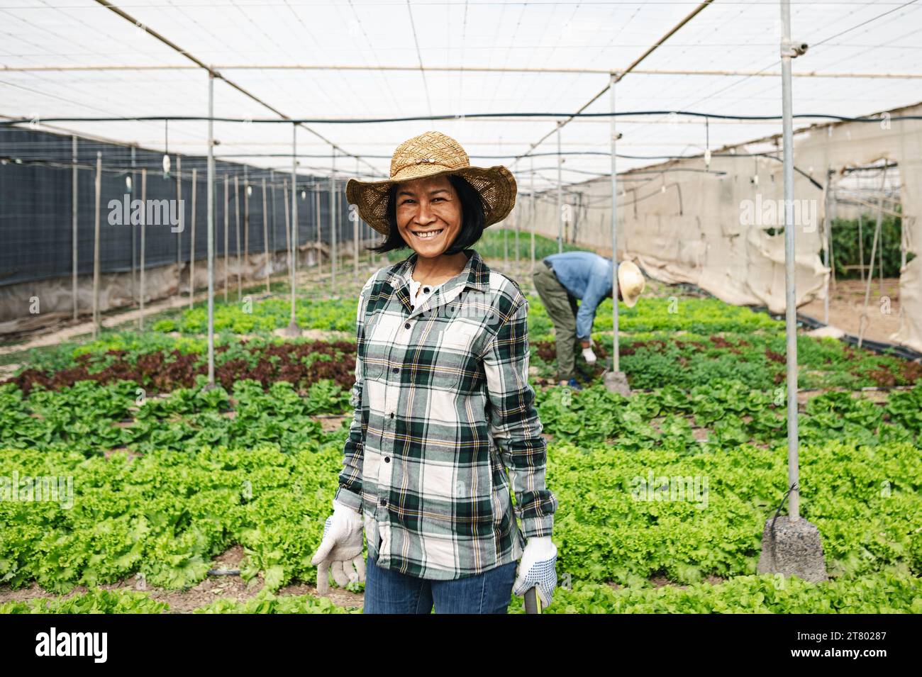 Felice donna del sud-est asiatico che lavora all'interno della serra agricola - concetto di stile di vita delle persone agricole Foto Stock