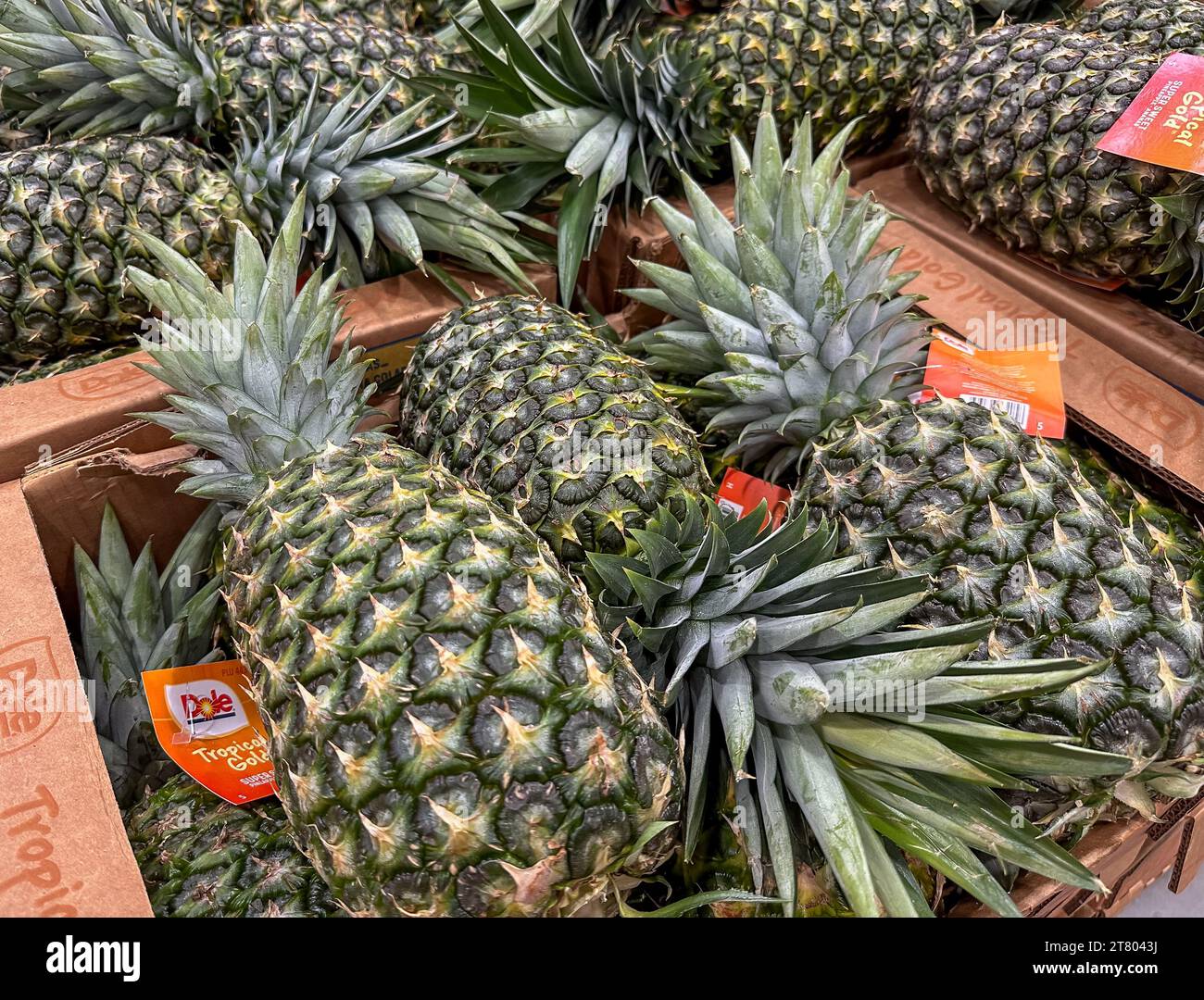 BAXTER, Minnesota - 24 giu 2023: Ananas Dole freschi interi in scatole aperte, in mostra e in vendita nel negozio Costco. Foto Stock