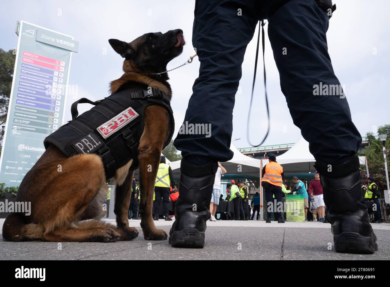 Oltre 4.300 agenti di polizia e pattuglia personale di sicurezza l'evento e 7 cani lavorano dalle 7:00 alle 17:00 ogni giorno, Mexican City Grand Prix, Messico, 28 ottobre 2023. Più di 400.000 persone hanno partecipato all'evento. 65 persone sono state escluse dall'evento a seguito di un alterco o di un comportamento inappropriato, ha confermato il Segretario di sicurezza di MayorÕs per la città. Crediti: Lexie Harrison-Cripps Foto Stock