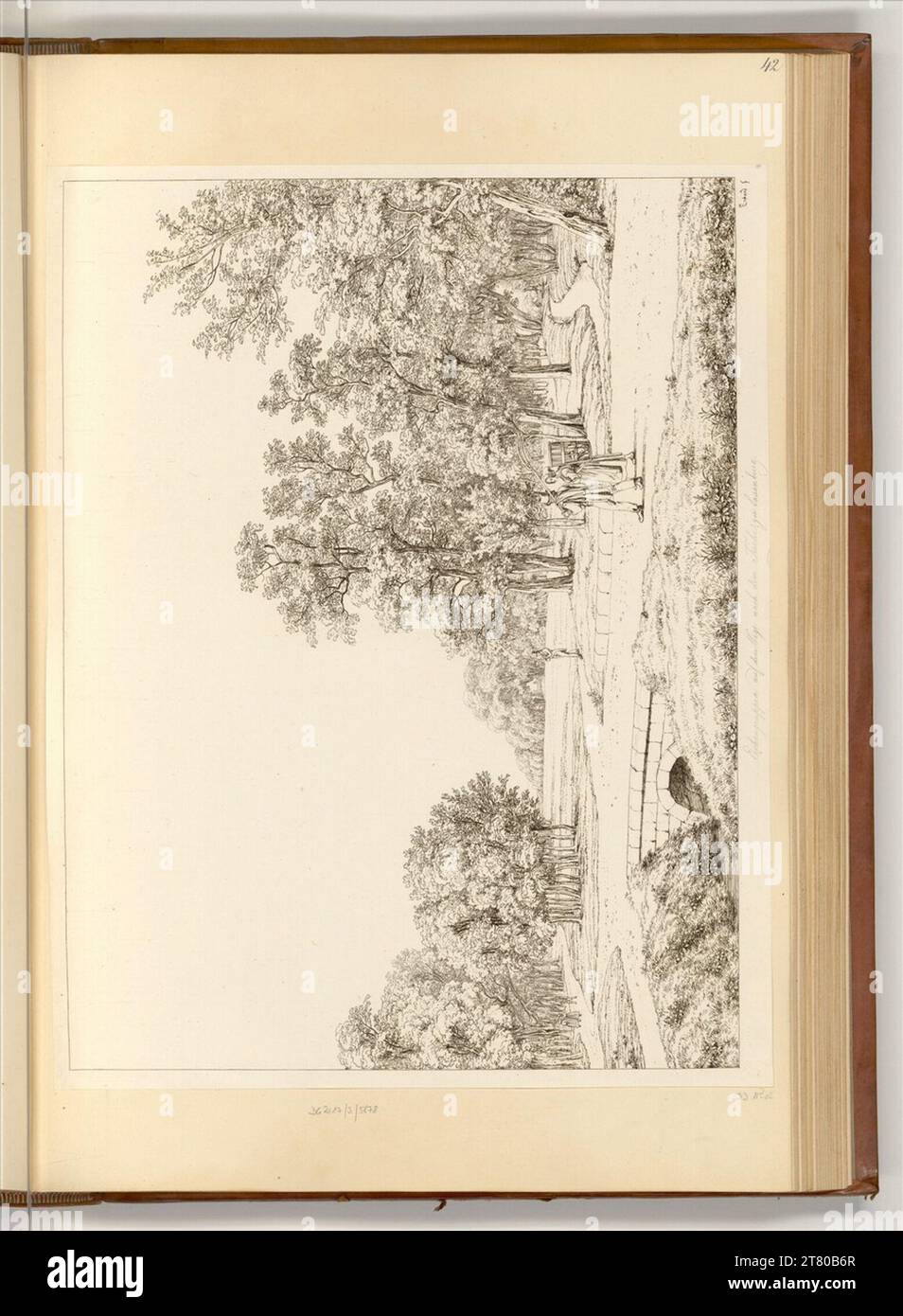 Johann Christoph Erhard (Ausführende r Künstler in) Vista dei gruppi di querce. incisione 1811-1822 , 1811/1822 Foto Stock
