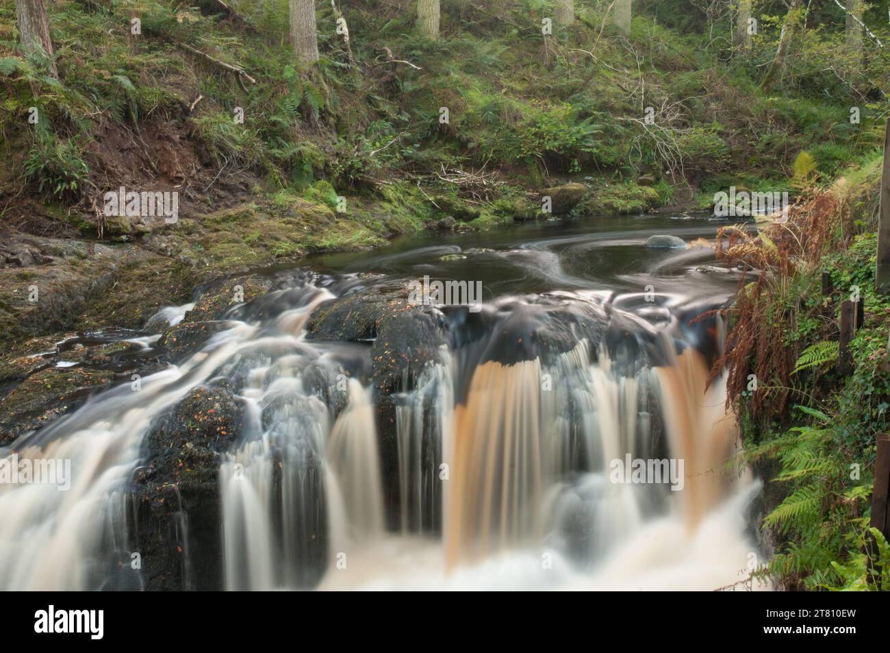 Cascate di Glenariff in autunno. Foto Stock