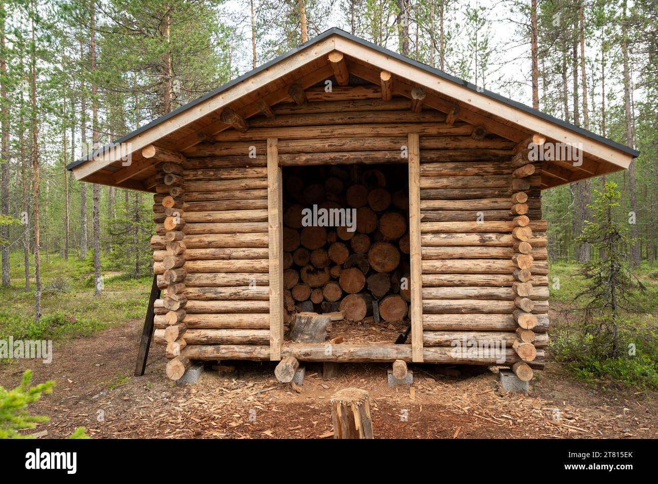 Una piccola capanna in legno mantiene i tronchi asciutti pronti per l'uso da parte degli escursionisti per accendere un incendio su un sentiero escursionistico nel nord della Finlandia Foto Stock