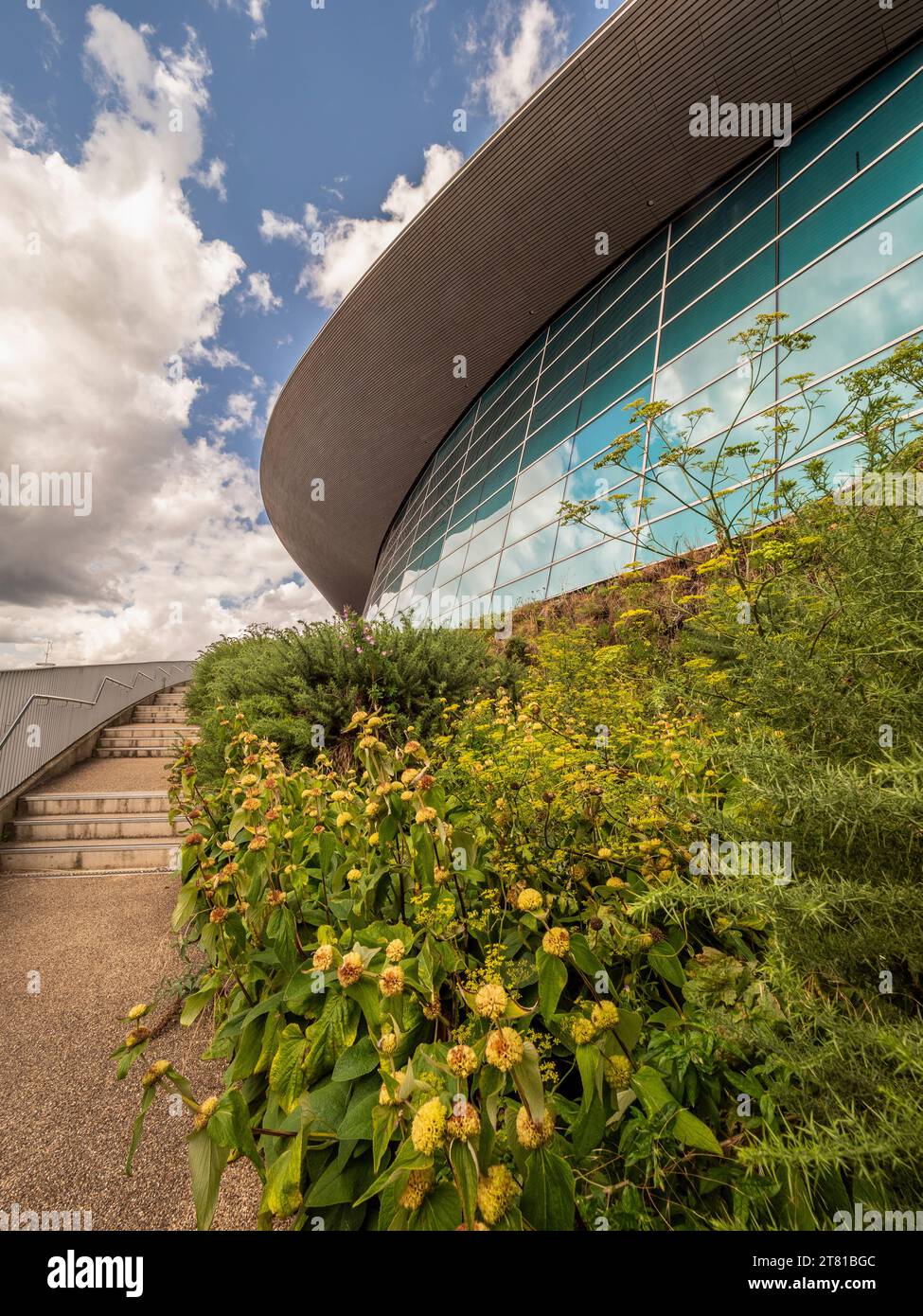 Il London Aquatics Centre, progettato da Zaha Hadid, Olympic Park, Stratford, Londra, Regno Unito. Foto Stock