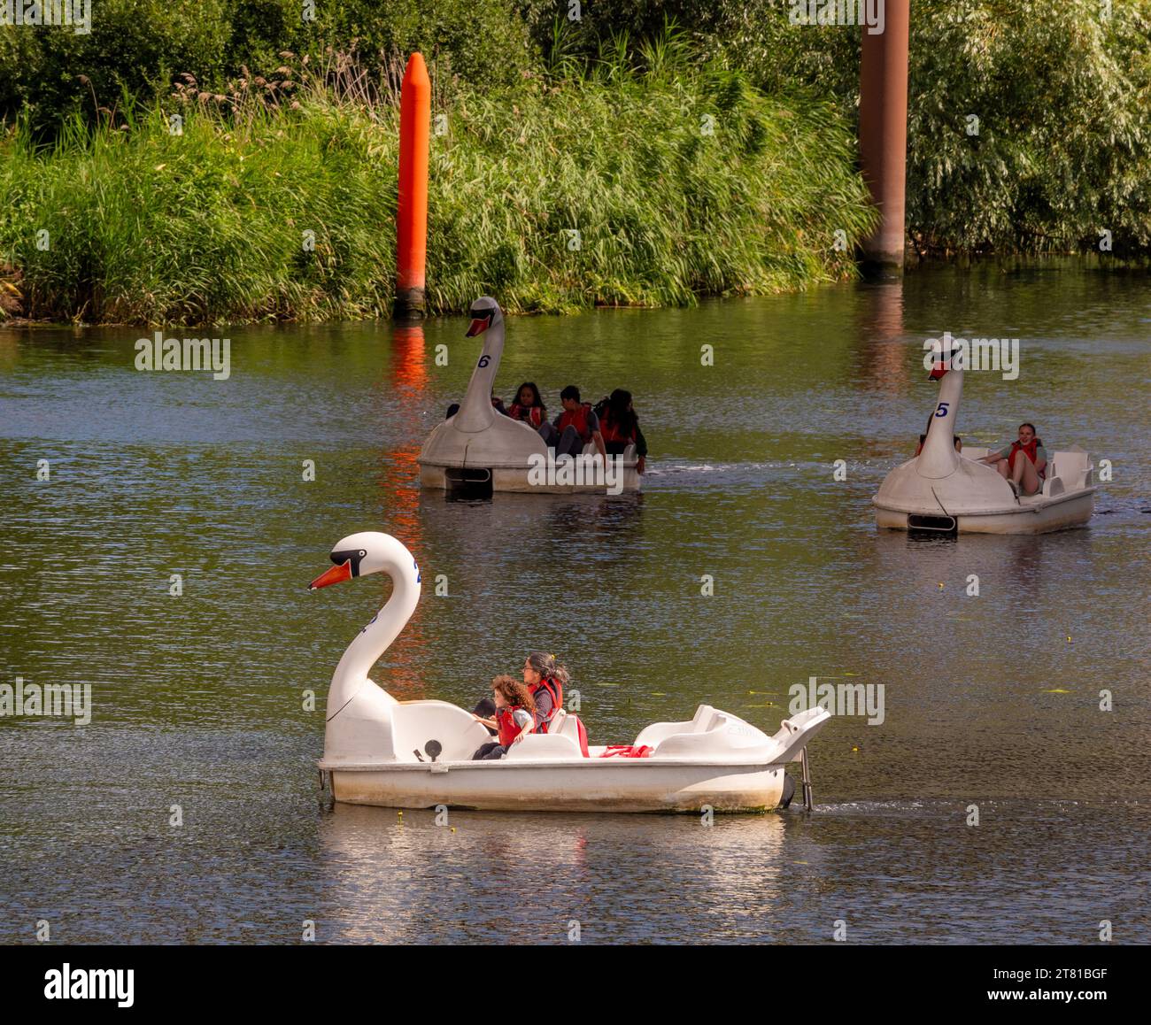 Swan pedalos on the Waterworks River Olympic Park, Stratford, Londra, Regno Unito. Foto Stock