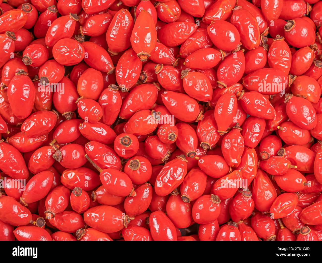 Molte rose rosse fresche raccolte nella foresta. Foto Stock