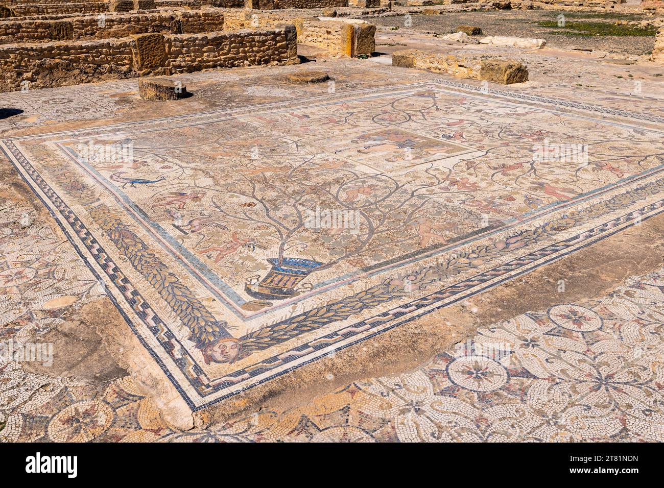 Uthina, Ben Arous, Tunisia. Pavimento a mosaico romano dalla Casa dei Laberii presso il sito archeologico di Uthina. Foto Stock