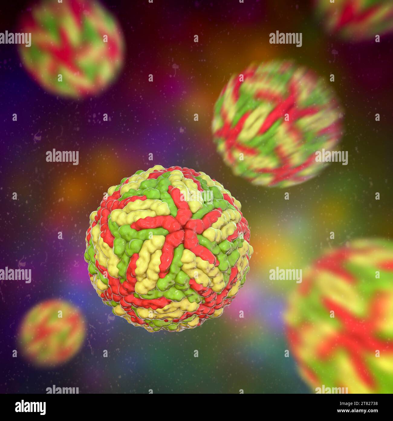 Virus Dengue, illustrazione Foto Stock