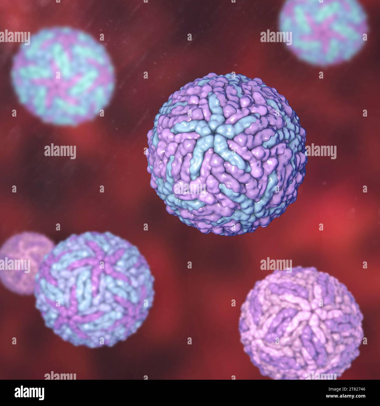 Virus Dengue, illustrazione Foto Stock