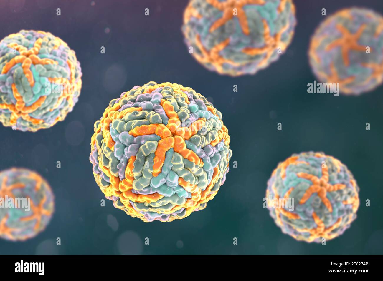 Illustrazione computerizzata di virus Dengue, un gruppo di virus RNA (acido ribonucleico) trasmessi dalle zanzare e responsabili della causa della febbre dengue. Foto Stock