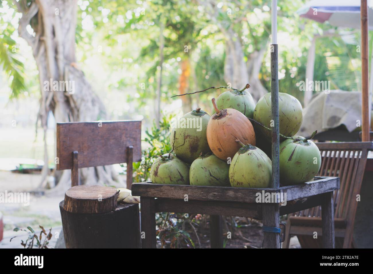 Cocco verde fresco dall'area di piantagione Foto Stock