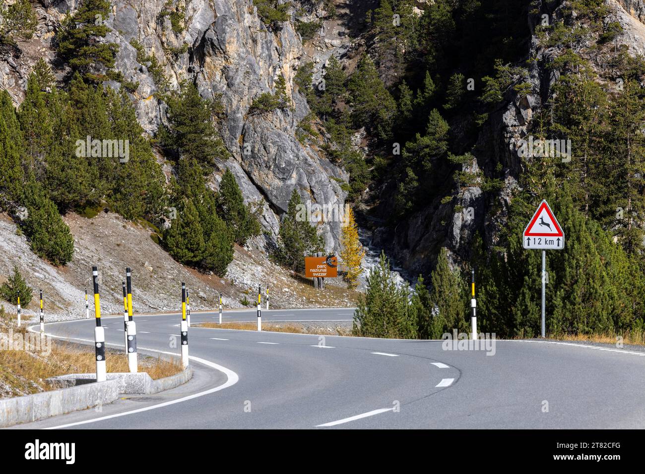 Strada di accesso al Parco Nazionale Svizzero, Zernez, Engadin, Graubuenden, Svizzera Foto Stock