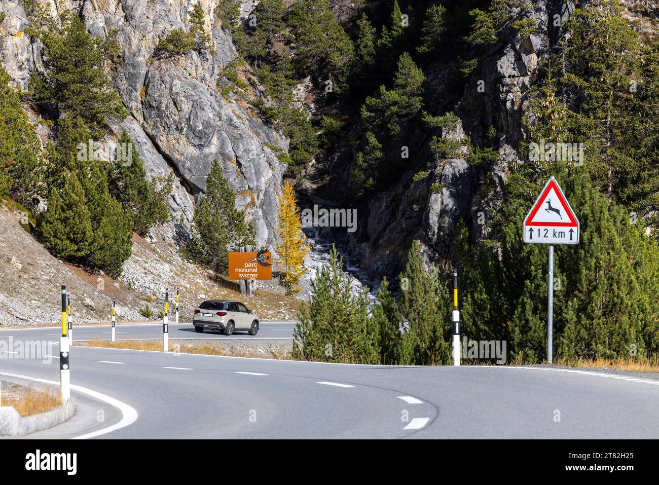 Strada di accesso al Parco Nazionale Svizzero, Zernez, Engadin, Graubuenden, Svizzera Foto Stock