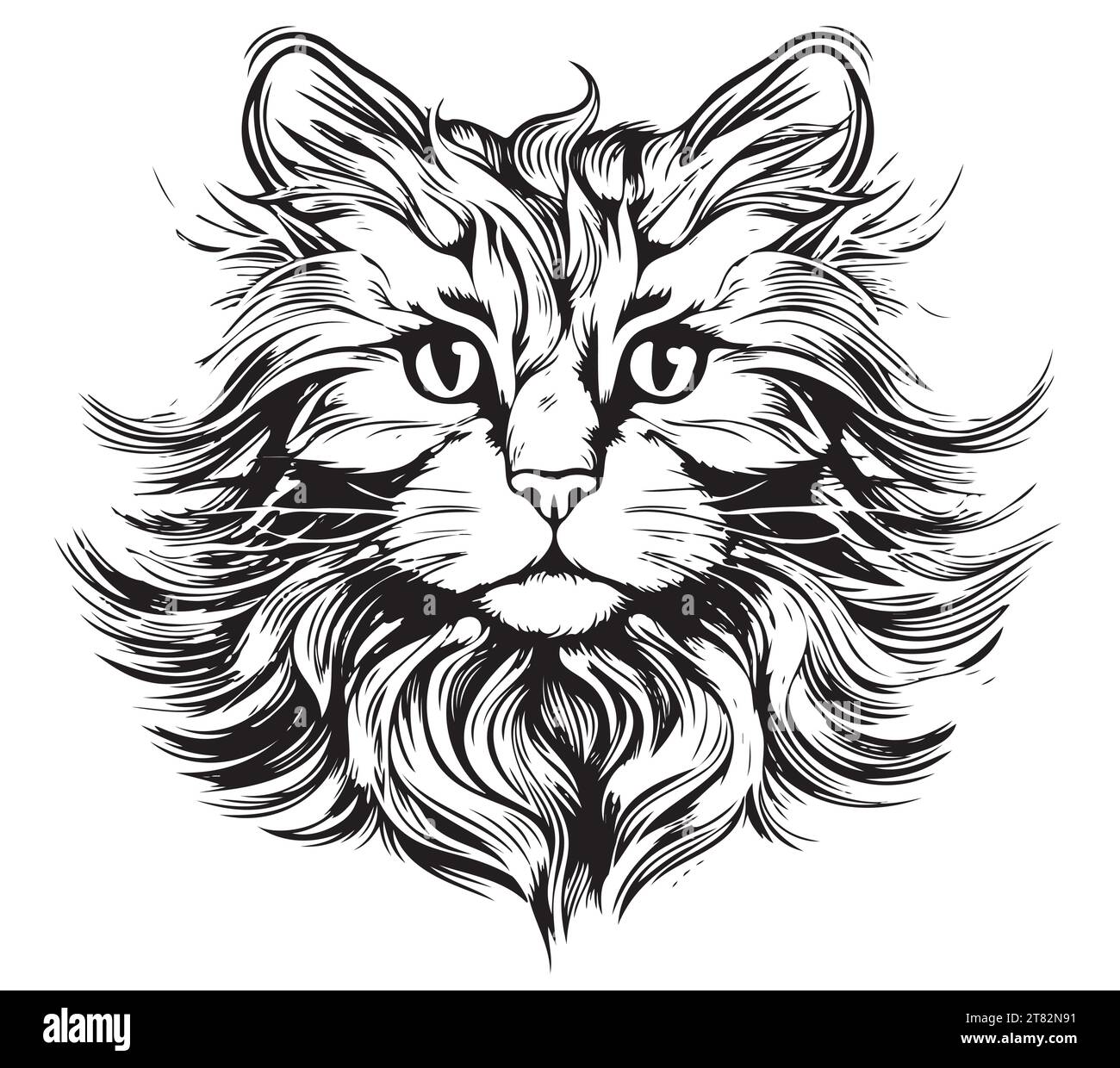 Testa di gatto soffice disegno a mano in stile incisione illustrazione vettoriale. Animali domestici Illustrazione Vettoriale