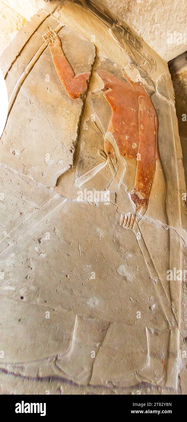 L'Egitto, Saqqara, nella sua tomba, Mehu è raffigurato come un alto personaggio. Foto Stock