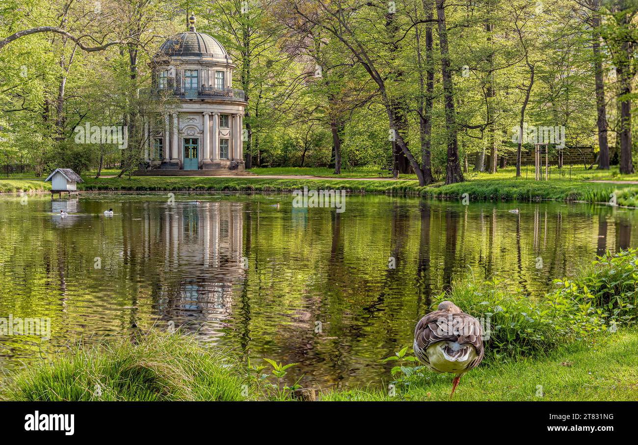 Padiglione inglese nel parco del Castello di Pillnitz, Dresda, Sassonia, Germania Foto Stock