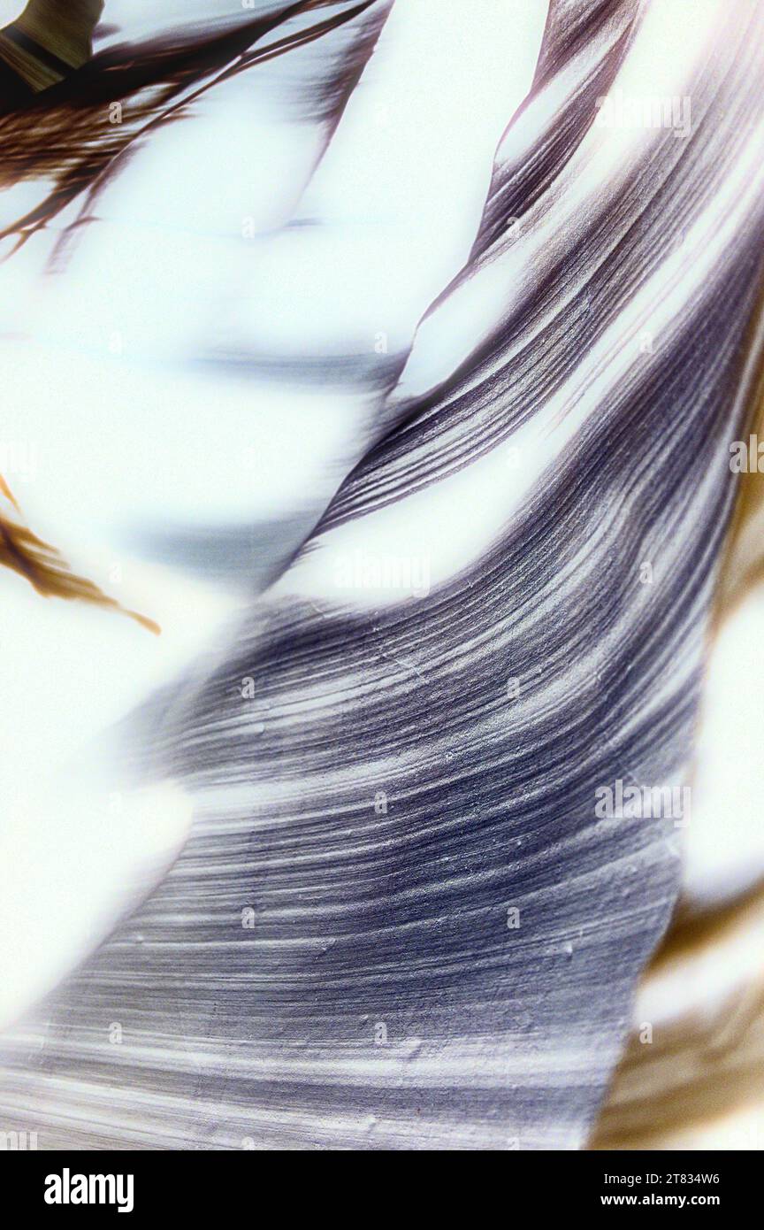 Modello per scienza, presentazione, università, astronomia, fisica Foto Stock