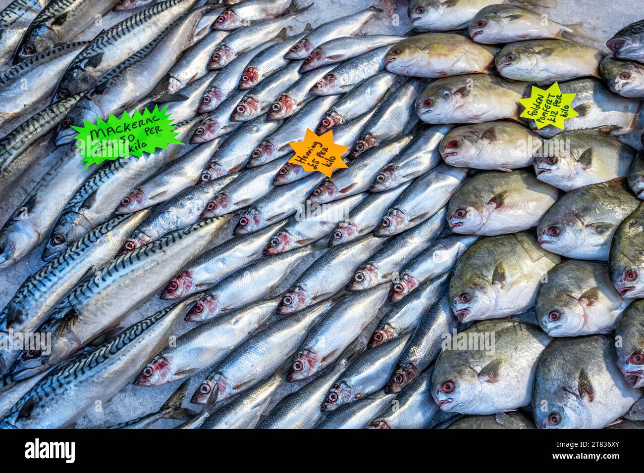 Aringhe fresche e altro pesce in vendita in un mercato Foto Stock
