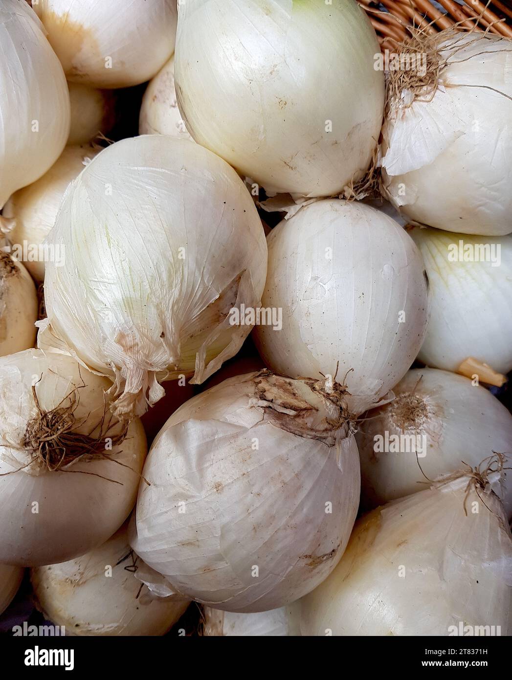 Primo piano di un'esposizione di aglio maturo. Foto Stock