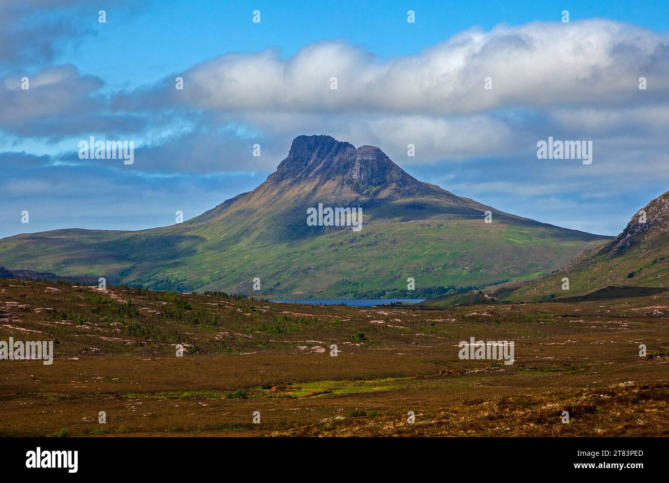 STAC Pollaidh, Wester Ross, Scottish Highlands, Regno Unito. Foto Stock