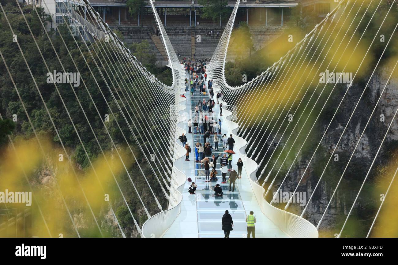 Pechino, Cina. 18 novembre 2023. I turisti camminano su un ponte con fondo in vetro al Grand Canyon di Zhangjiajie, nella provincia centrale di Hunan della Cina, 18 novembre 2023. Crediti: Wu Yongbing/Xinhua/Alamy Live News Foto Stock