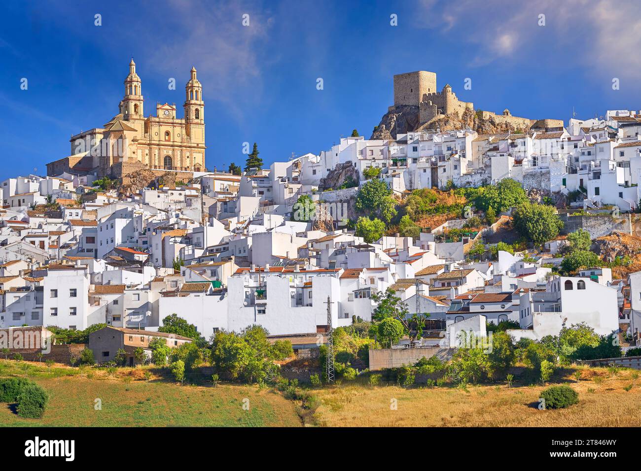 Villaggio bianco di Olvera, provincia di Cadice, Andalusia, Spagna Foto Stock