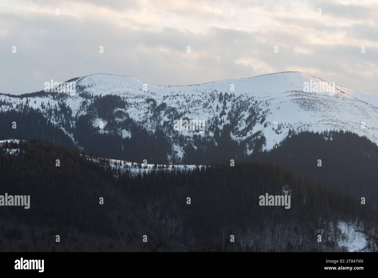 Paesaggio primaverile in un luogo molto selvaggio vicino alla cresta di Arshytsya nella catena montuosa Gorgany dei Carpazi, Ucraina Foto Stock