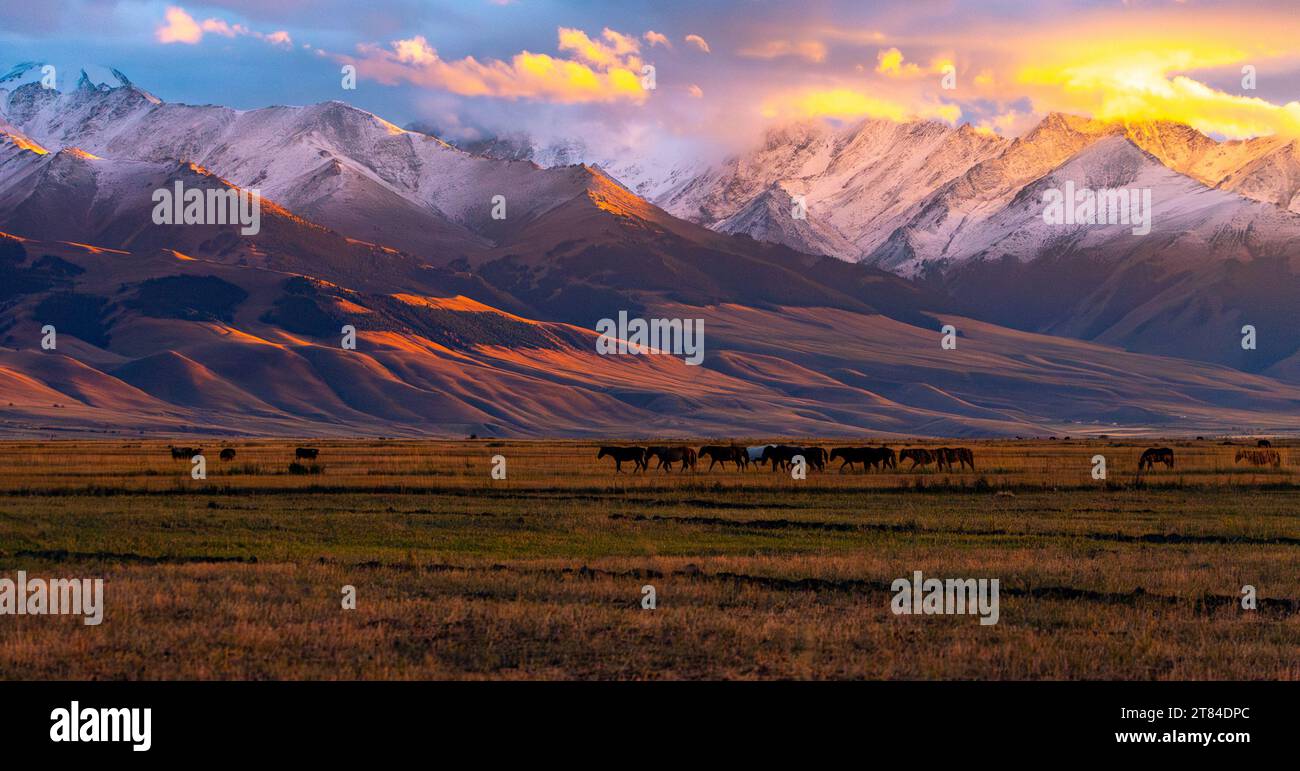 Paesaggio montuoso in Kirghizistan al tramonto Foto Stock