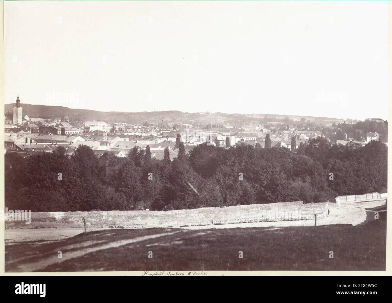 Franz von Reisinger Lemberg. Carta di albumina, su carta composita 1872 , 1872 Foto Stock