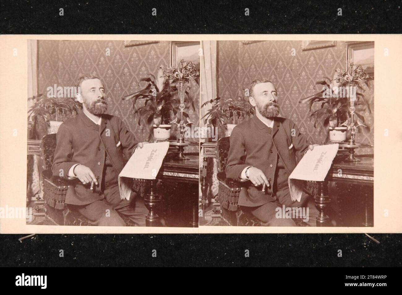 Julius Hofmann, uomo di lettura nel salone. Carta albumina, sulla scatola/formato stereo 1889 , 1889 Foto Stock