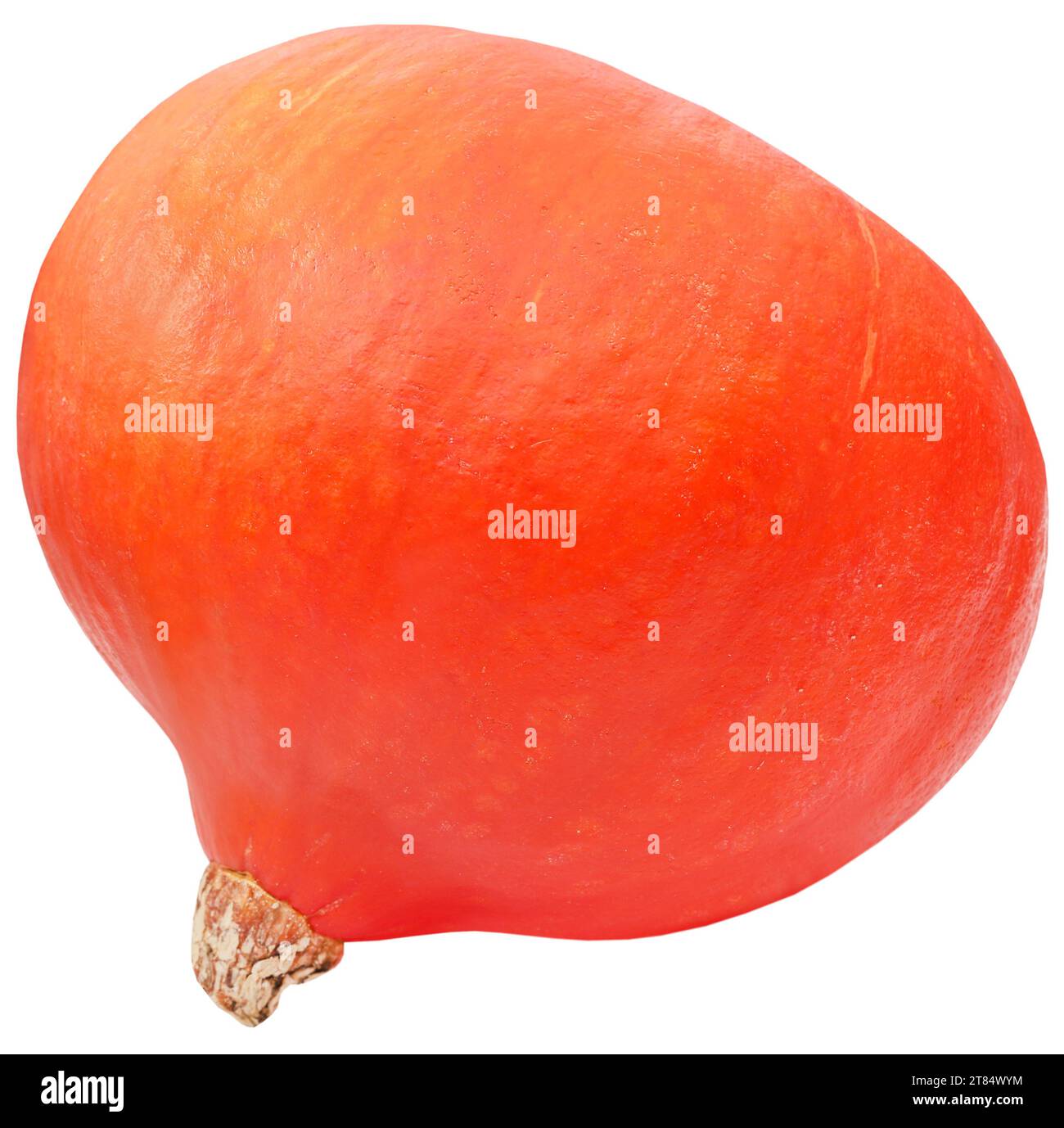 Zucca Hokkaido biologica fresca e isolata Foto Stock