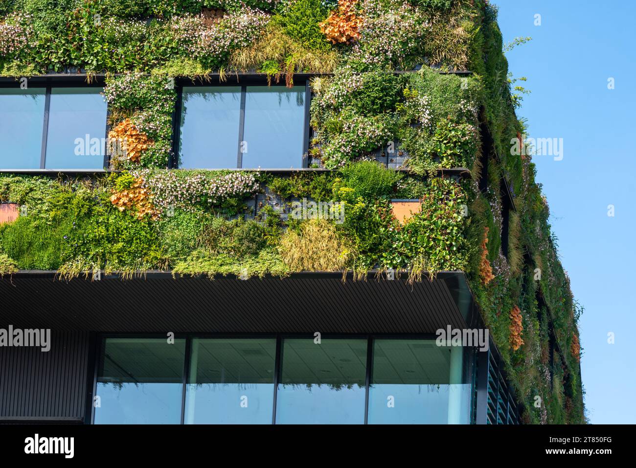 Edificio moderno e sostenibile con verde, muro vivente con varietà di piante Foto Stock