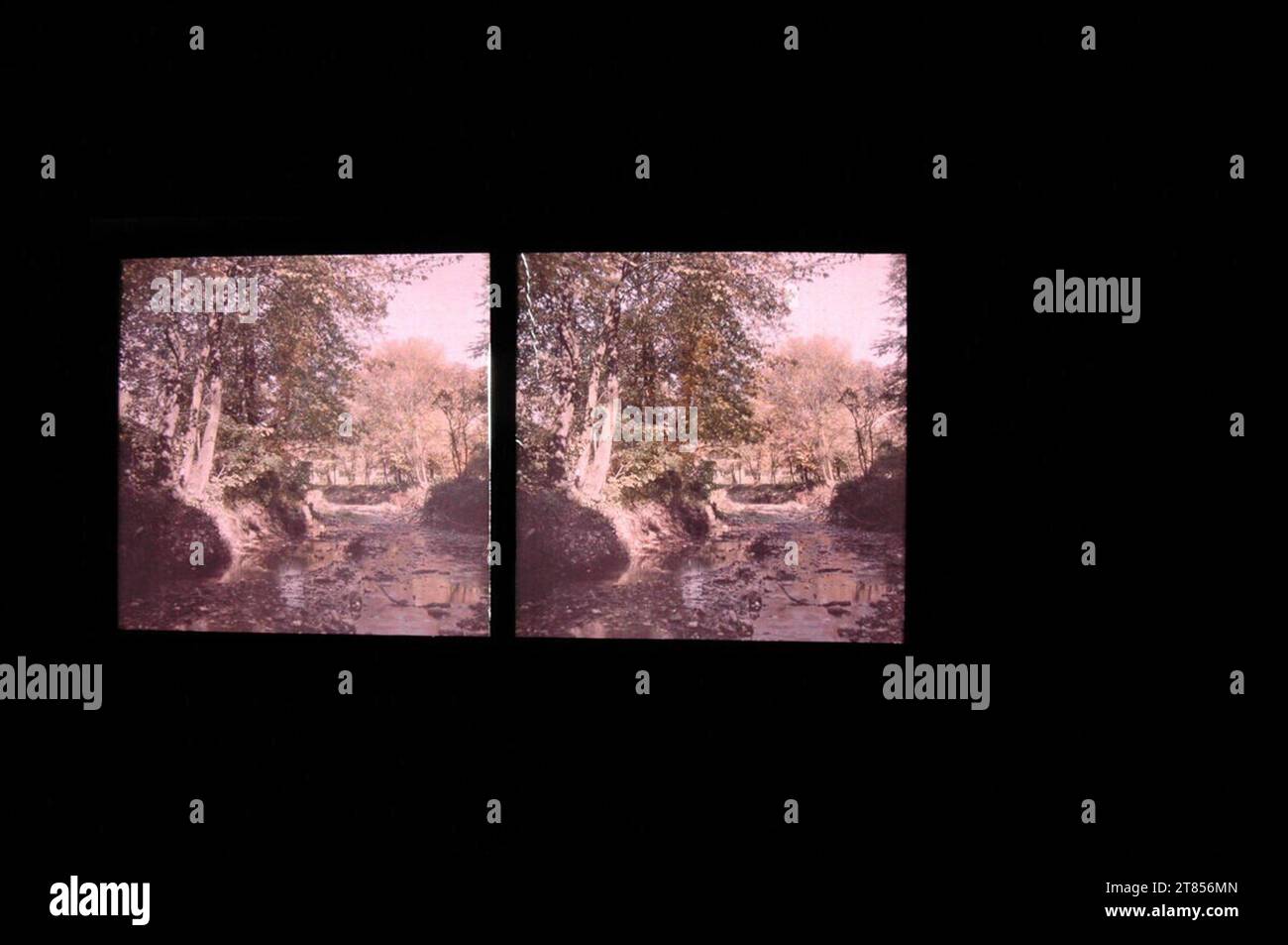 Arthur von Hübl Bach corre. Autochrome/formato stereo, danneggiato! Glassa 1907-1932 , 1907/1932 Foto Stock