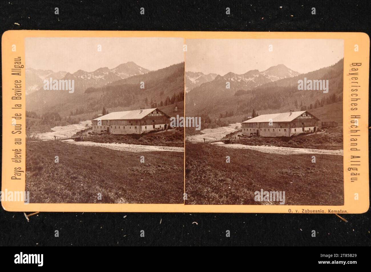 Otto von Zabuesnig altopiani bavaresi: Alphütte: Allgäu nella Retten -Schwanger Thale. Carta albumina, sulla scatola/formato stereo intorno a 1885 Foto Stock