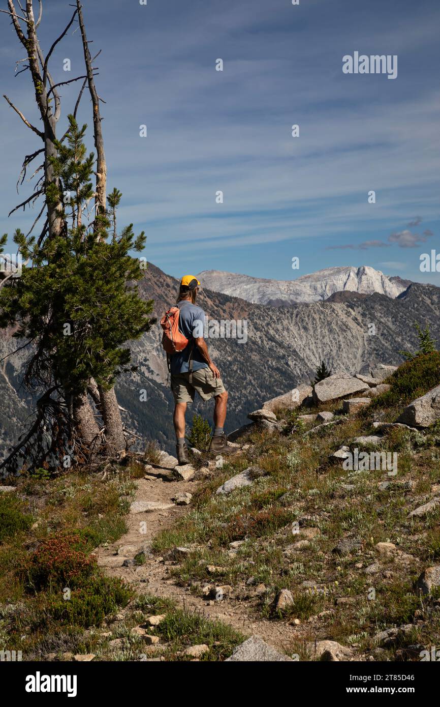 OR02777-00...OREGON - escursionista ammirando la vista del Cervino dal percorso tra Hobo e Bear Lakes; Eagle Cap Wilderness. Foto Stock