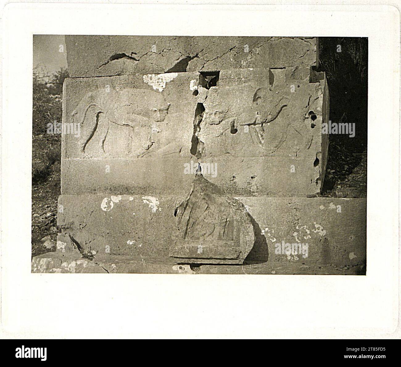Blocchi di pietra Wilhelm Burger con rilievo di leone a Lykien o caria. Eliogravure su carta giapponese, sulla scatola 1884 , 1884 Foto Stock