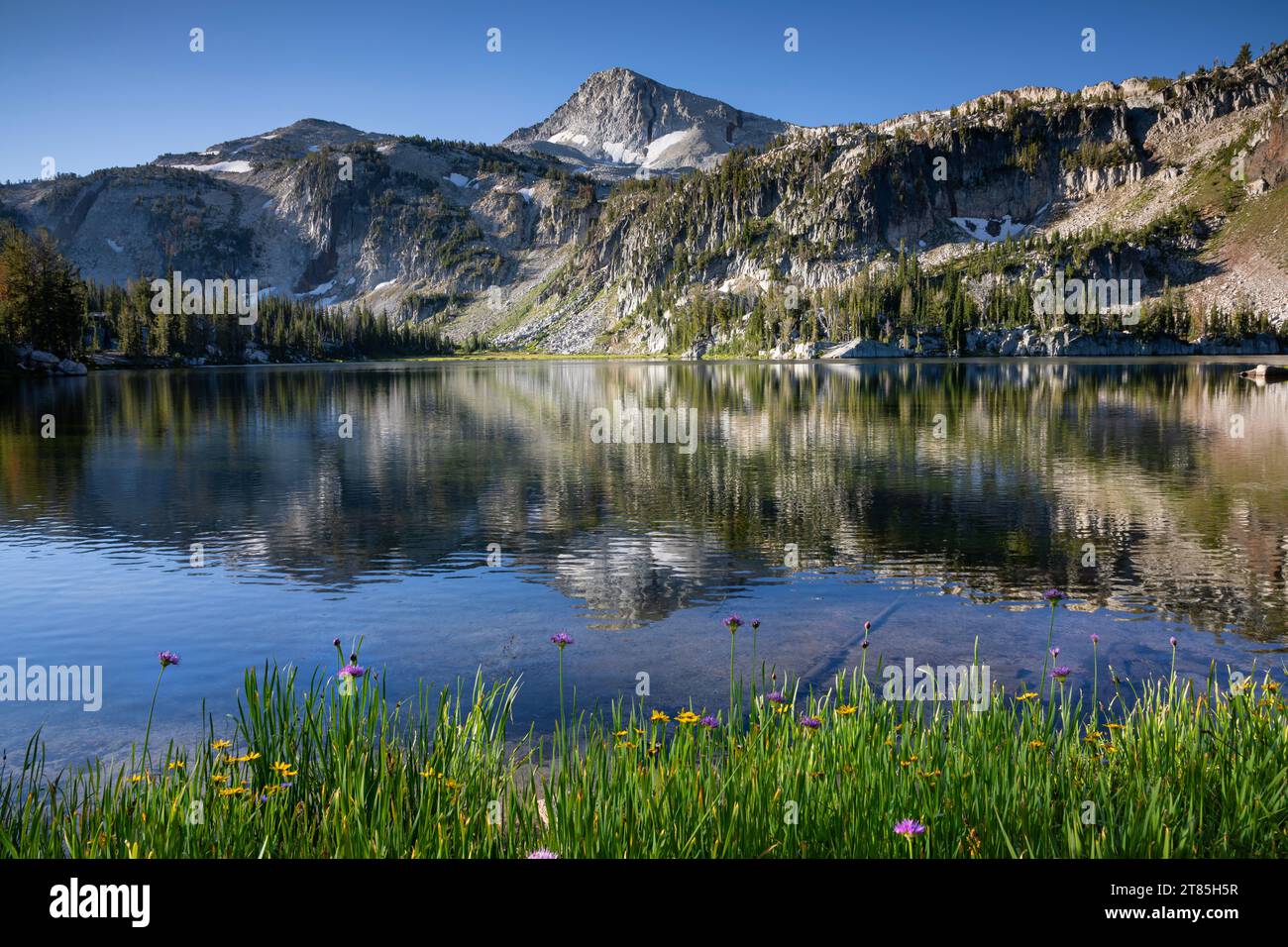 OR02819-00...OREGON - Fiori lungo la riva del lago Mirrow, riflettendo il picco Eagle Cap nella Eagle Cap Wilderness. Foto Stock